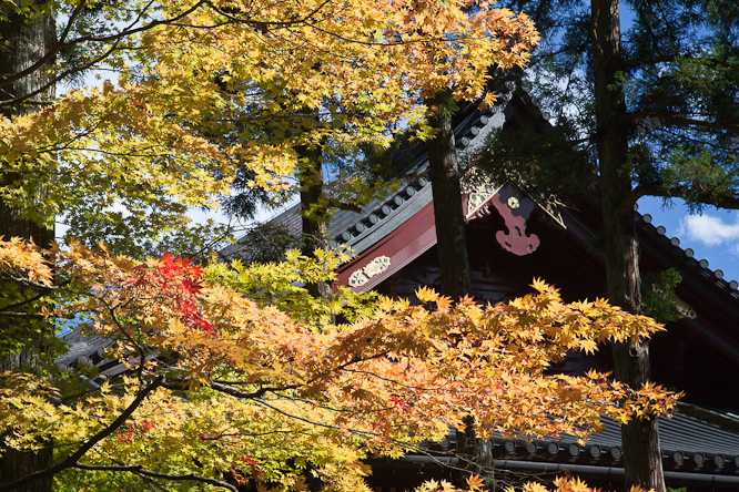 Fotografie aus der Serie &raquo;Japan&laquo;