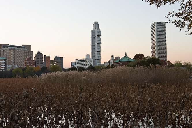 Fotografie aus der Serie &raquo;Japan&laquo;