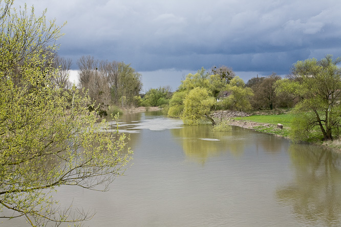 Fotografie aus der Serie &raquo;Local Nature Reserves&laquo;