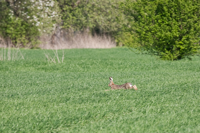 Fotografie aus der Serie &raquo;Local Nature Reserves&laquo;