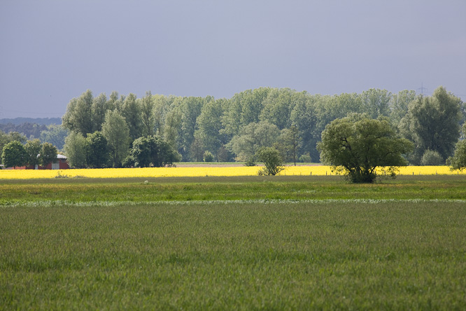 Fotografie aus der Serie &raquo;Local Nature Reserves&laquo;