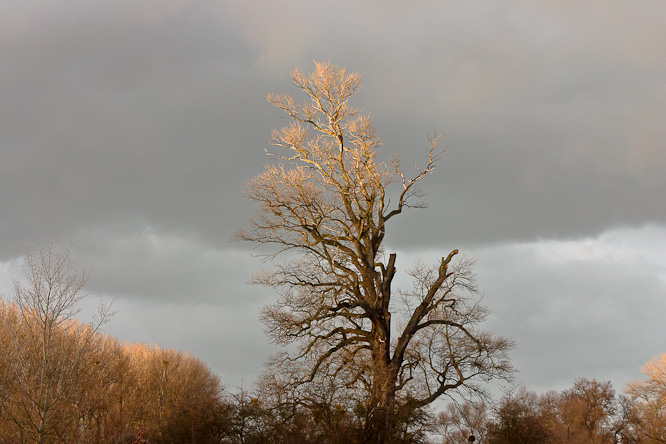Fotografie aus der Serie &raquo;Local Nature Reserves&laquo;