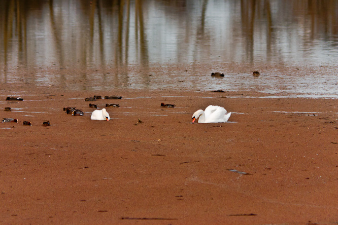 Fotografie aus der Serie &raquo;Local Nature Reserves&laquo;
