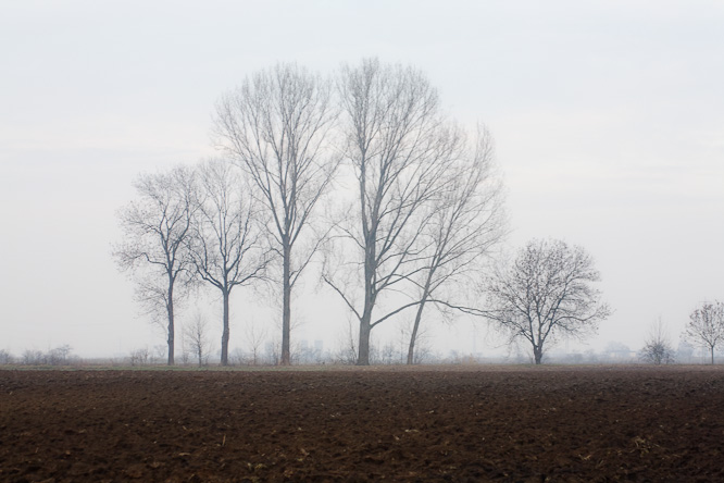 Fotografie aus der Serie &raquo;Local Nature Reserves&laquo;