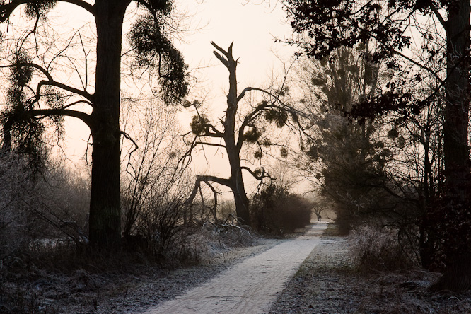 Fotografie aus der Serie &raquo;Local Nature Reserves&laquo;