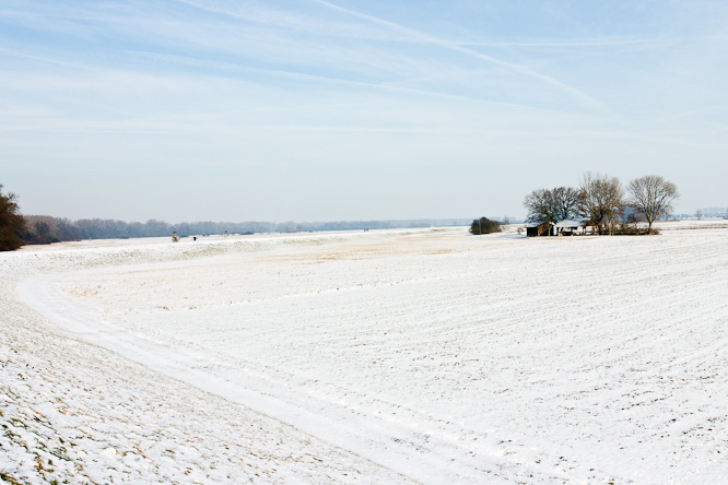 Fotografie aus der Serie &raquo;Local Nature Reserves&laquo;