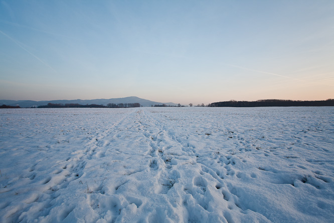 Fotografie aus der Serie &raquo;Local Nature Reserves&laquo;
