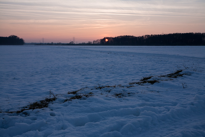 Fotografie aus der Serie &raquo;Local Nature Reserves&laquo;