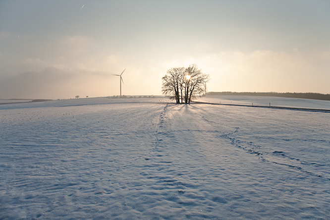 Fotografie aus der Serie &raquo;Local Nature Reserves&laquo;