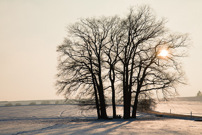 Fotografie aus der Serie &raquo;Local Nature Reserves&laquo;