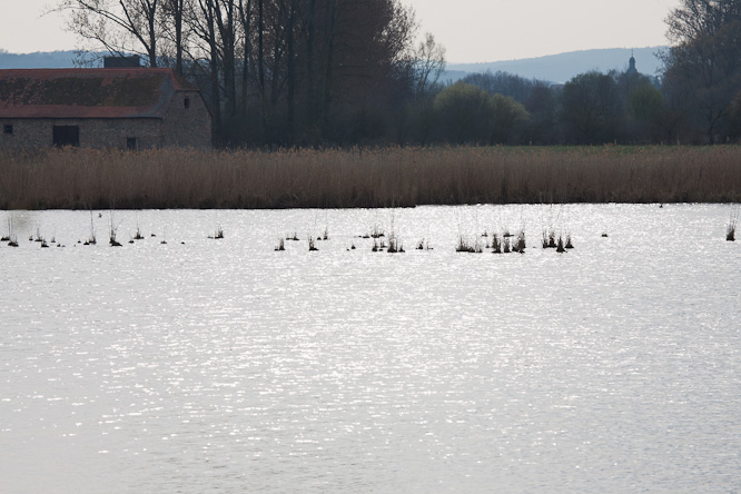 Fotografie aus der Serie &raquo;Local Nature Reserves&laquo;