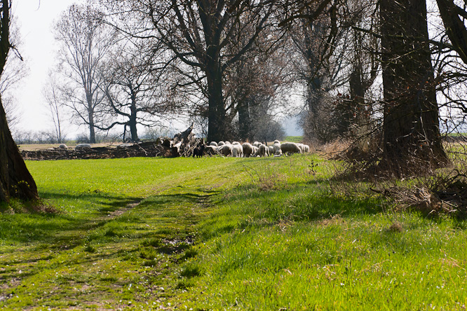 Fotografie aus der Serie &raquo;Local Nature Reserves&laquo;