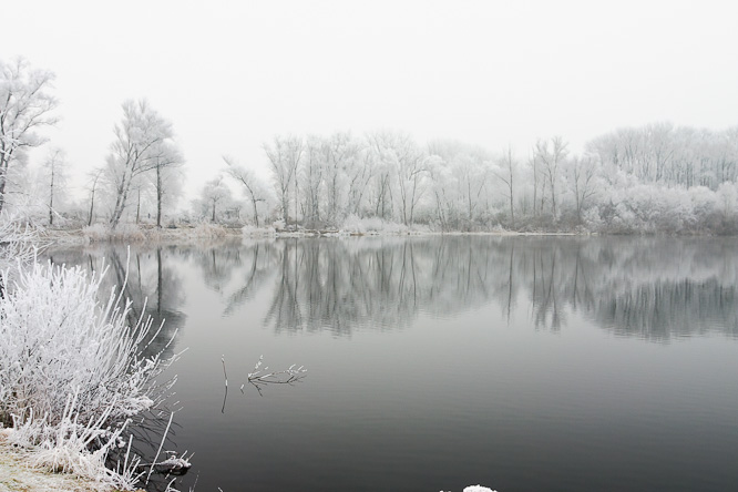 Fotografie aus der Serie &raquo;Local Nature Reserves&laquo;