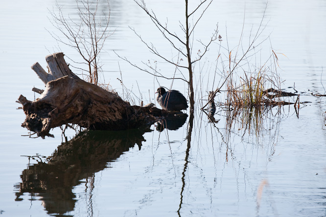 Fotografie aus der Serie &raquo;Local Nature Reserves&laquo;