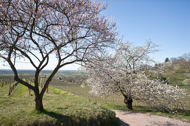 Fotografie aus der Serie &raquo;Local Impressions&laquo;