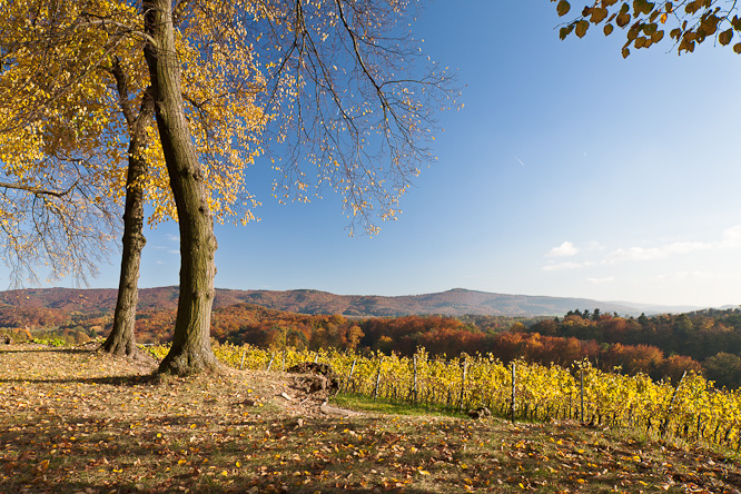 Fotografie aus der Serie &raquo;Local Impressions&laquo;