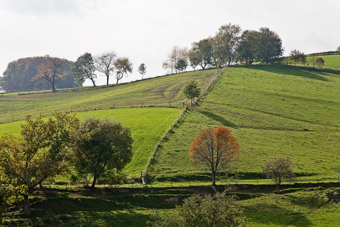 Fotografie aus der Serie &raquo;Local Impressions&laquo;