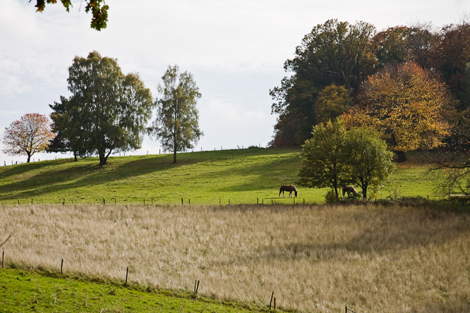Fotografie aus der Serie &raquo;Local Impressions&laquo;