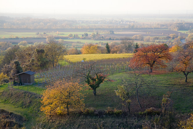 Fotografie aus der Serie &raquo;Local Impressions&laquo;