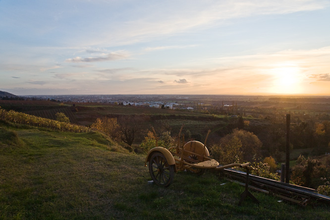 Fotografie aus der Serie &raquo;Local Impressions&laquo;