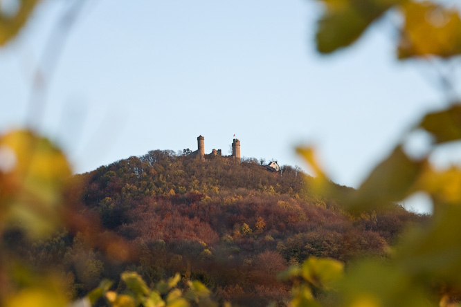 Fotografie aus der Serie &raquo;Local Impressions&laquo;