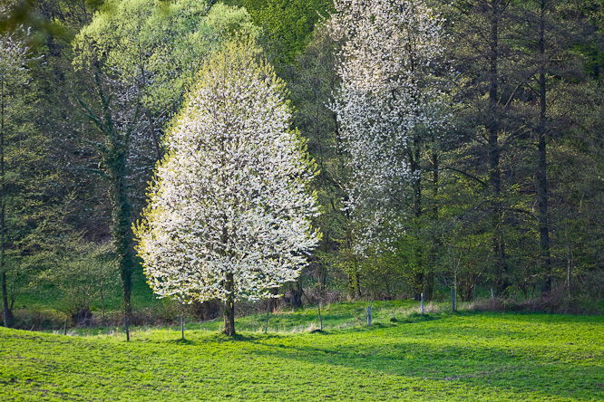 Fotografie aus der Serie &raquo;Local Impressions&laquo;