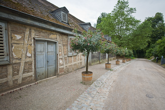 Fotografie aus der Serie &raquo;Local Impressions&laquo;