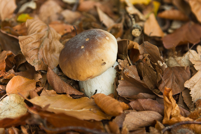 Fotografie aus der Serie &raquo;Local Impressions&laquo;