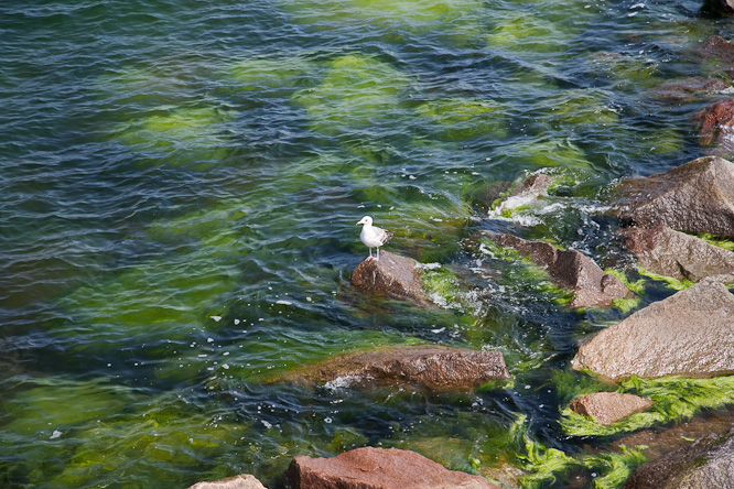 Fotografie aus der Serie &raquo;Sea&laquo;