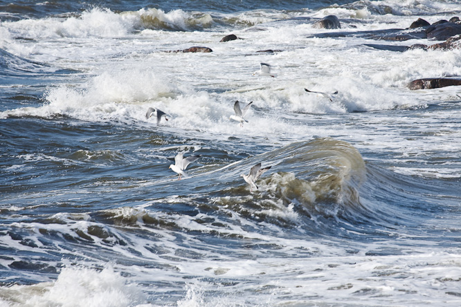 Fotografie aus der Serie &raquo;Sea&laquo;