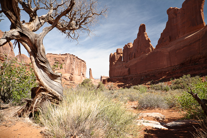 Fotografie aus der Serie &raquo;USA National Parks&laquo;