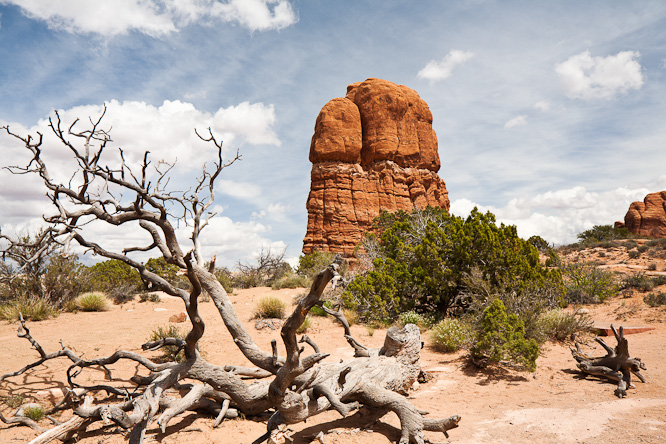 Fotografie aus der Serie &raquo;USA National Parks&laquo;