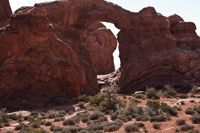 Fotografie aus der Serie &raquo;USA National Parks&laquo;