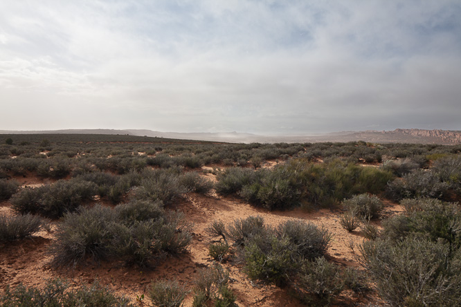 Fotografie aus der Serie &raquo;USA National Parks&laquo;