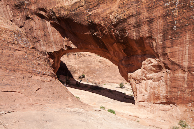 Fotografie aus der Serie &raquo;USA National Parks&laquo;