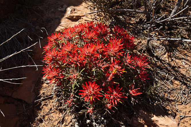 Fotografie aus der Serie &raquo;USA National Parks&laquo;