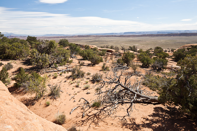 Fotografie aus der Serie &raquo;USA National Parks&laquo;