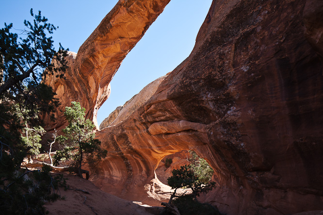 Fotografie aus der Serie &raquo;USA National Parks&laquo;
