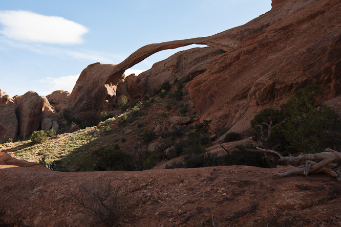 Fotografie aus der Serie &raquo;USA National Parks&laquo;