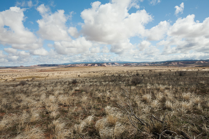 Fotografie aus der Serie &raquo;USA National Parks&laquo;
