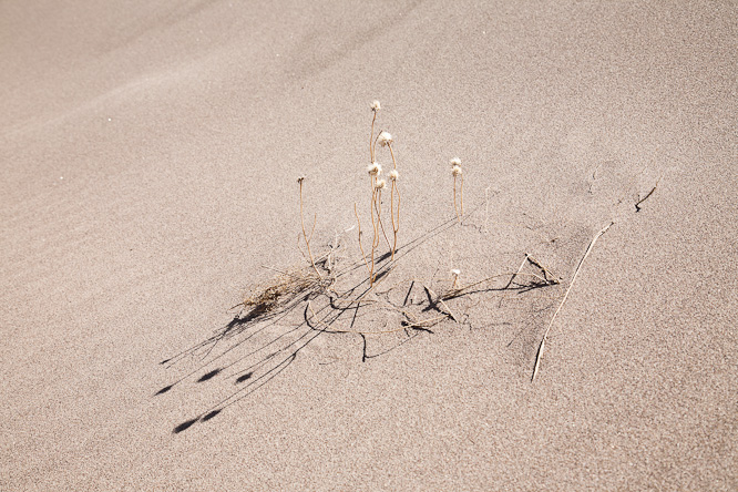 Fotografie aus der Serie &raquo;USA National Parks&laquo;