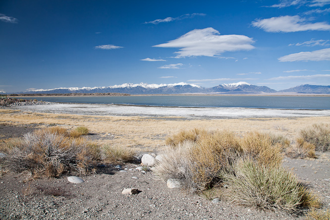 Fotografie aus der Serie &raquo;USA National Parks&laquo;