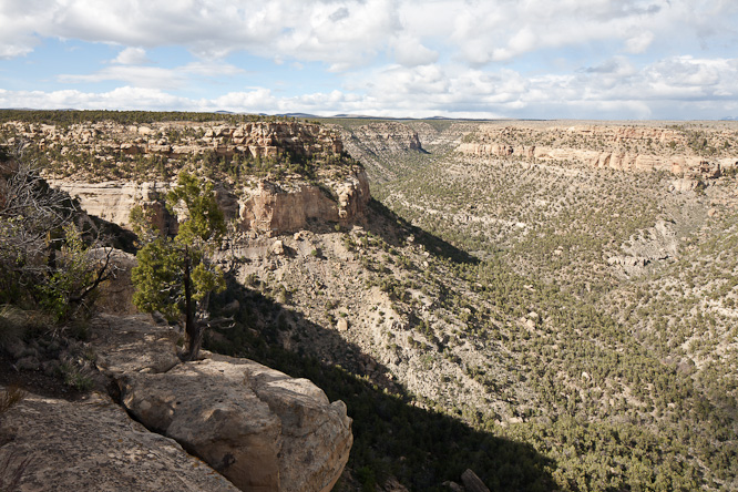 Fotografie aus der Serie »USA National Parks«