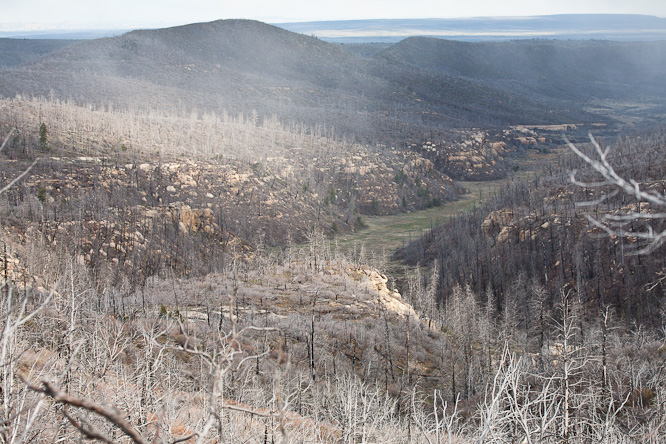 Fotografie aus der Serie »USA National Parks«