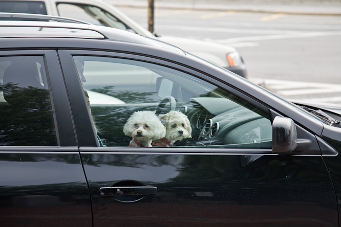 Fotografie aus der Serie &raquo;USA Cities&laquo;