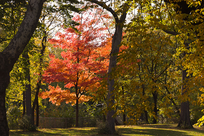 Fotografie aus der Serie »USA Städte«